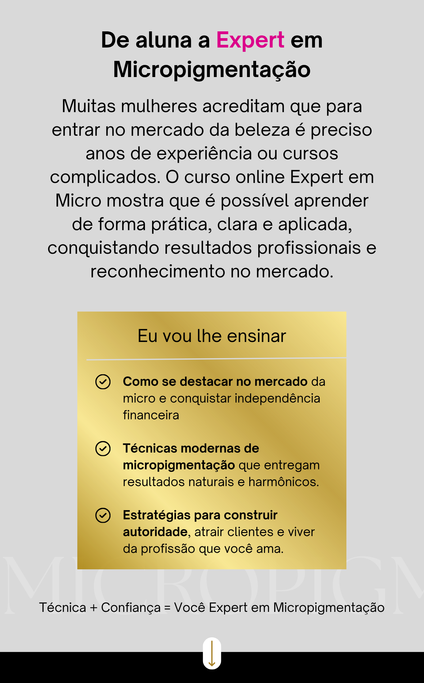 curso online de micropigmentação (15)