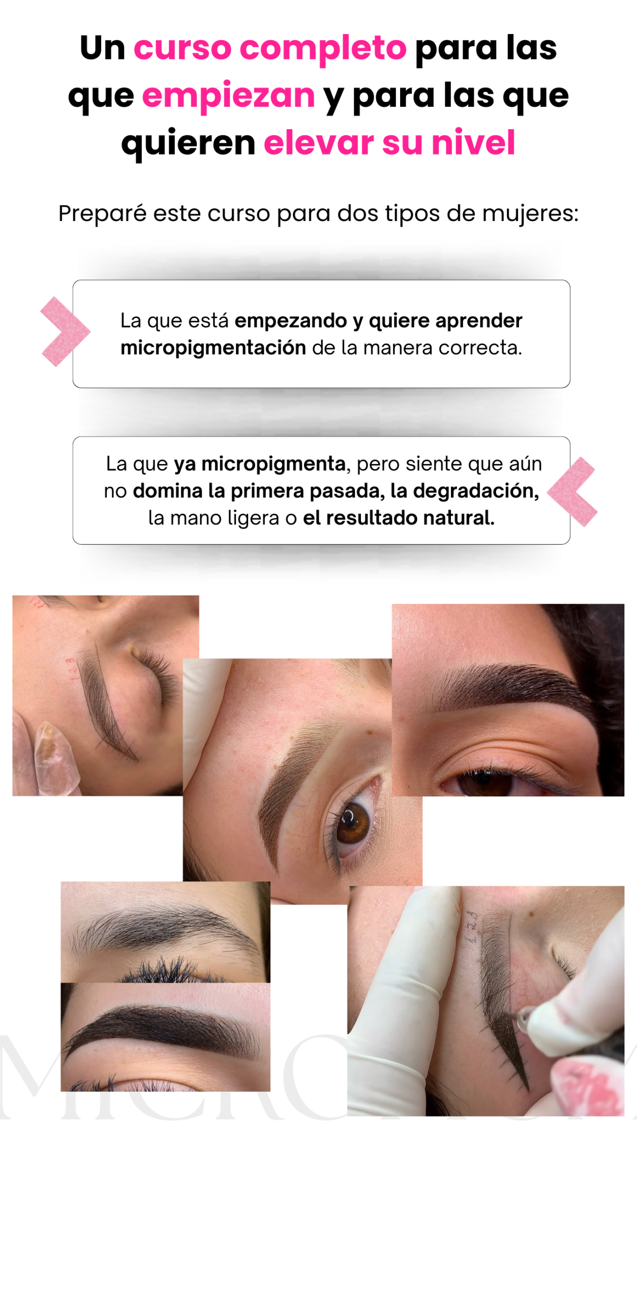 curso de micropigmentación online (14)
